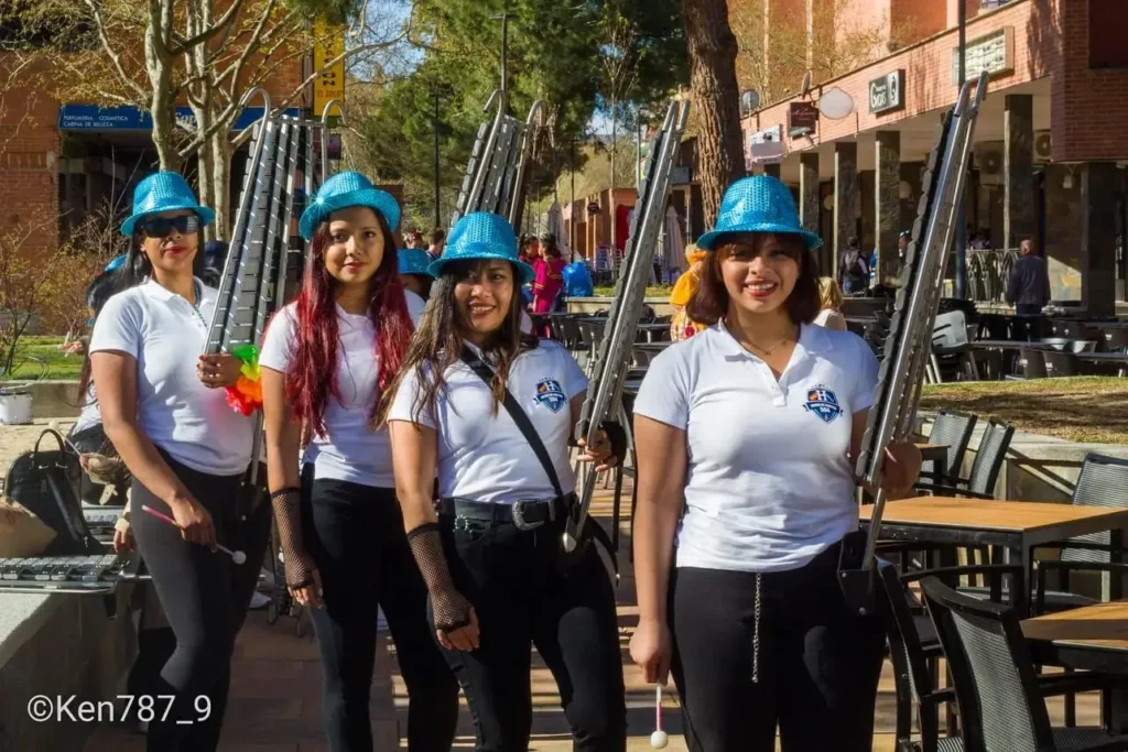 Cuadro de Liras Banda de Marcha 504