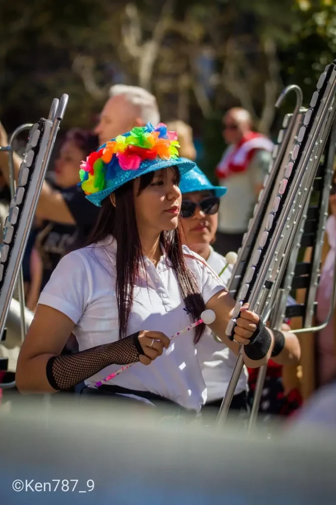 Lira Banda de Marca 504